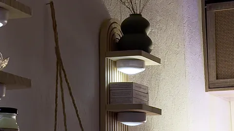 L’étagère et les plantes du salon Atelier Kora, dans une lumière chaude